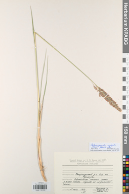 KPABG044380