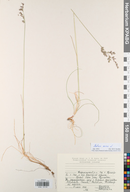 KPABG044383