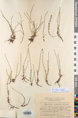 KPABG044430
