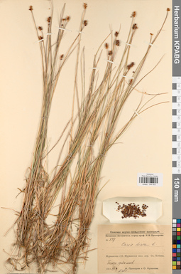 KPABG044453