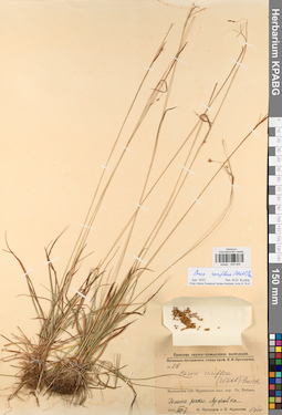 KPABG044455