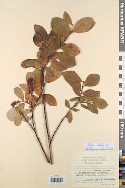 KPABG044472