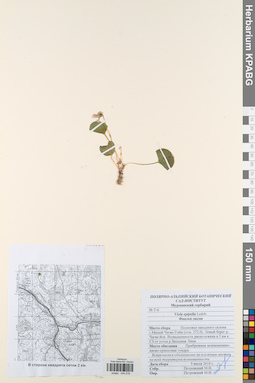 KPABG044518