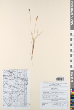 KPABG044525