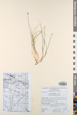 KPABG044526