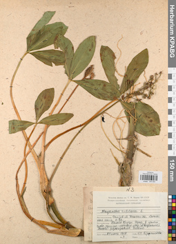 KPABG044550