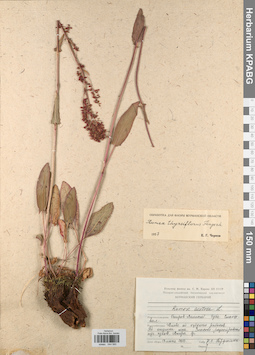 KPABG044560