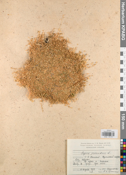KPABG044570