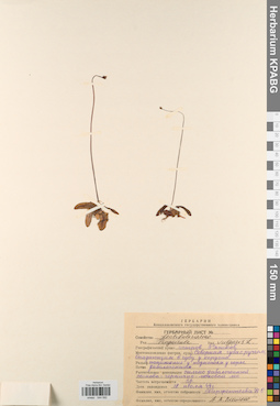 KPABG044592