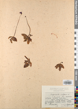KPABG044593