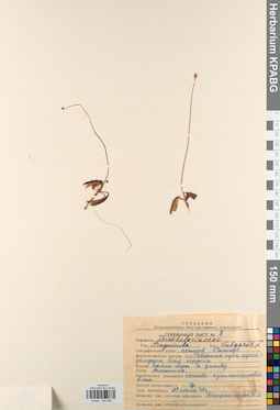 KPABG044595