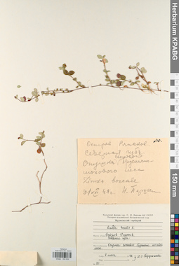 KPABG044602