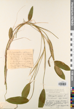 KPABG044618