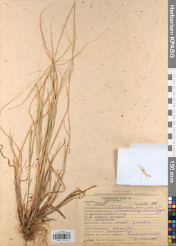 KPABG044625