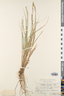 KPABG044629
