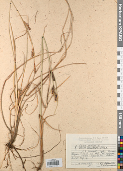 KPABG044632