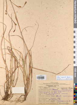 KPABG044644