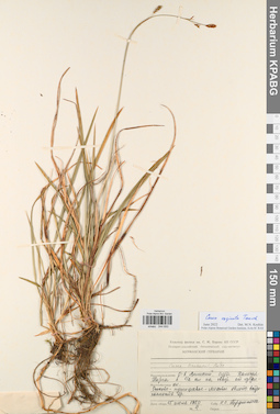 KPABG044650