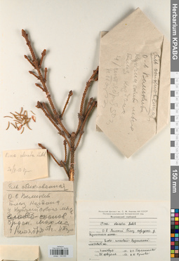 KPABG044655