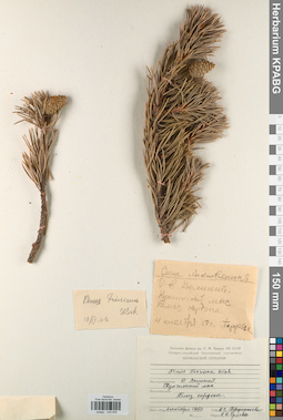 KPABG044656