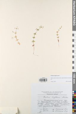 KPABG038857