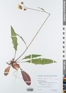 KPABG044685