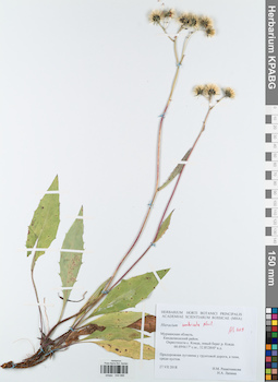 KPABG044686