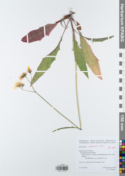 KPABG044687
