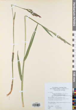 KPABG044689
