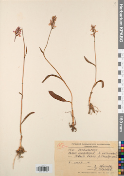 KPABG044699