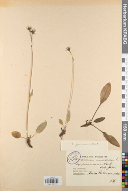 KPABG044711