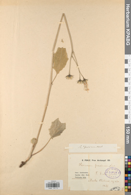 KPABG044712