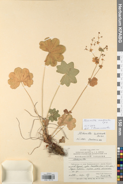 KPABG044730