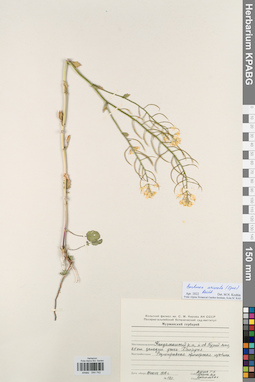 KPABG044742
