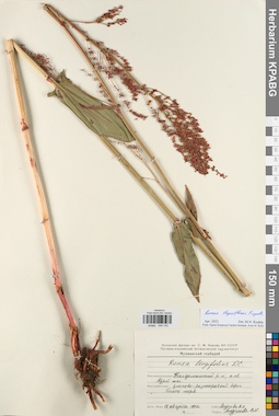KPABG044743