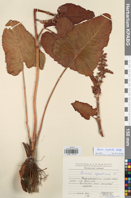 KPABG044744