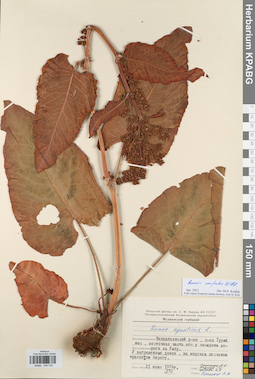 KPABG044745