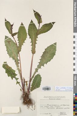 KPABG044753