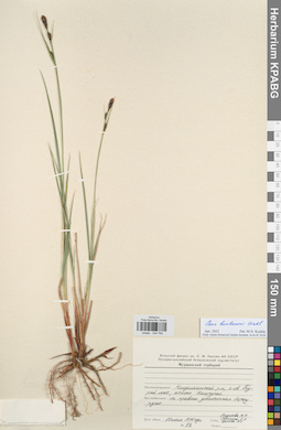 KPABG044764