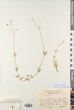 KPABG044776