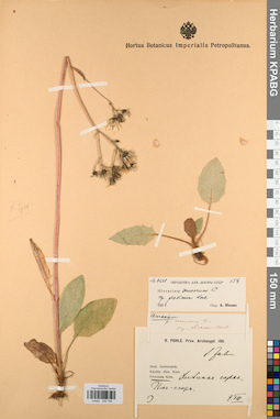 KPABG044786