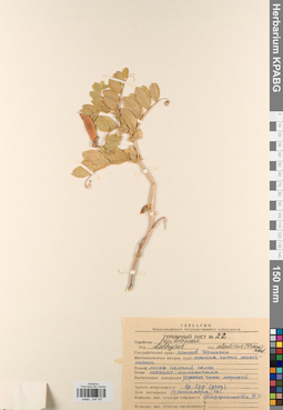 KPABG044797