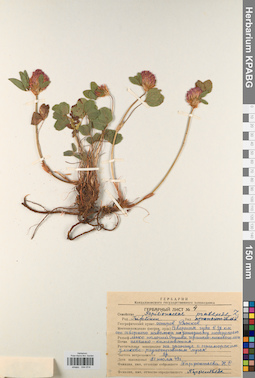 KPABG044814