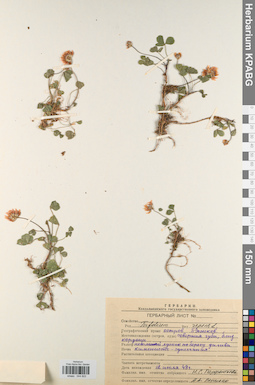 KPABG044822