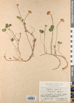 KPABG044824
