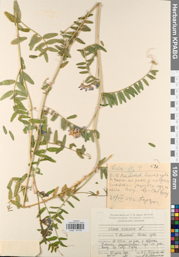 KPABG044832