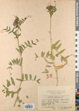 KPABG044838
