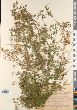 KPABG044845