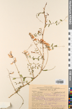 KPABG044850