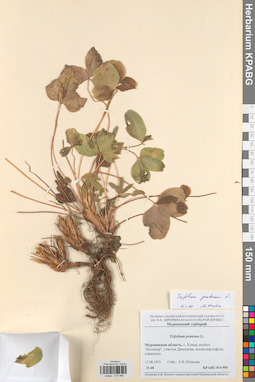 KPABG014995